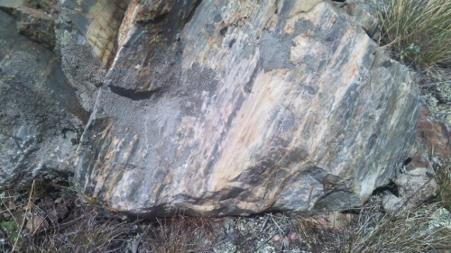 Гигантские зелёные валуны для ландшафтного дизайна весом более 5 тонн купить в Краснокамске